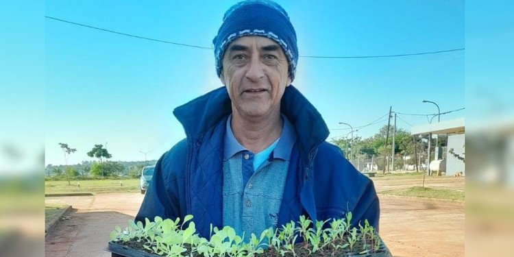 VIVERO MUNICIPAL. Se entregan plantines con variedades de estación.