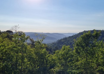 Cancelaron la inauguración de la reserva privada en San Pedro