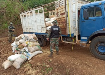 Investigan la “ruta de la soja” en  Misiones, Corrientes y Entre Ríos