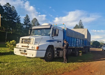 Incautan más de 27 toneladas de granos de maíz en Aristóbulo