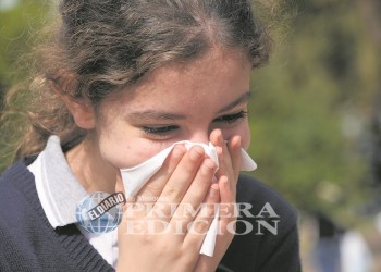 Uno de cada cinco argentinos padece alguna o varias alergias