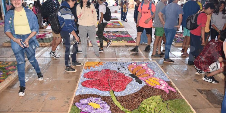 Candelaria vivió con emoción una nueva muestra de alfombras florales en el BOP 5