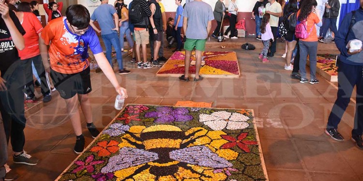 Candelaria vivió con emoción una nueva muestra de alfombras florales en el BOP 5