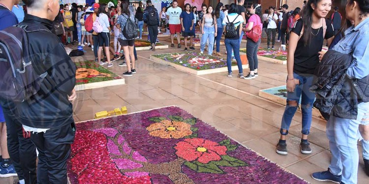 Candelaria vivió con emoción una nueva muestra de alfombras florales en el BOP 5