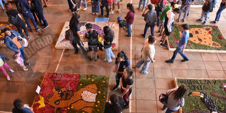 Candelaria vivió con emoción una nueva muestra de alfombras florales en el BOP 5
