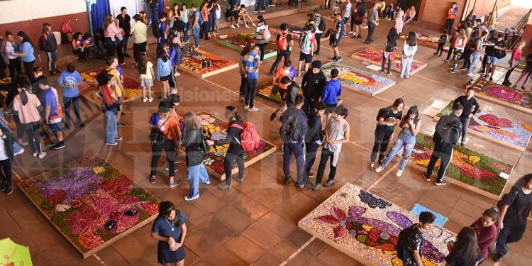 Candelaria vivió con emoción una nueva muestra de alfombras florales en el BOP 5