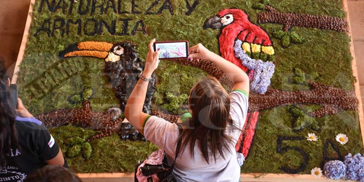 Candelaria vivió con emoción una nueva muestra de alfombras florales en el BOP 5