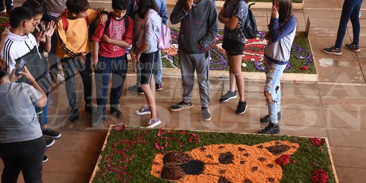 Candelaria vivió con emoción una nueva muestra de alfombras florales en el BOP 5