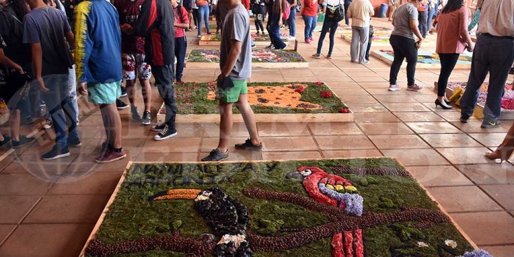Candelaria vivió con emoción una nueva muestra de alfombras florales en el BOP 5