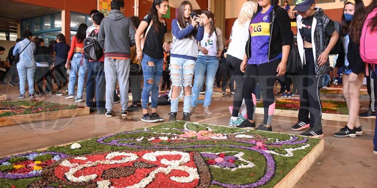 Candelaria vivió con emoción una nueva muestra de alfombras florales en el BOP 5