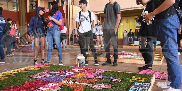Candelaria vivió con emoción una nueva muestra de alfombras florales en el BOP 5