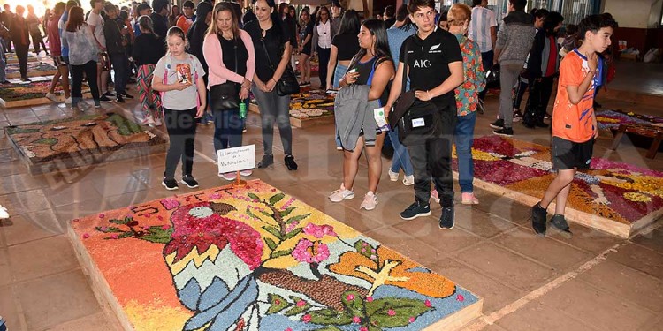 Candelaria vivió con emoción una nueva muestra de alfombras florales en el BOP 5
