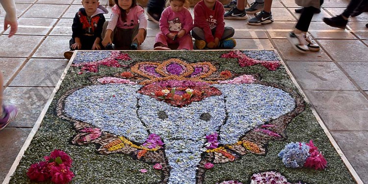 Candelaria vivió con emoción una nueva muestra de alfombras florales en el BOP 5