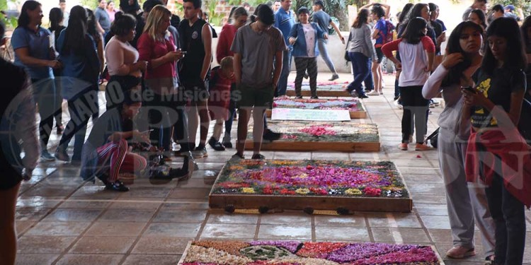 Candelaria vivió con emoción una nueva muestra de alfombras florales en el BOP 5