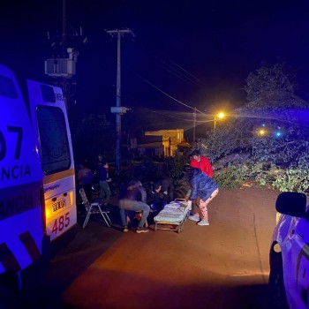 ACCIDENTE. Un joven chocó con su moto a un árbol tirado en la calle.