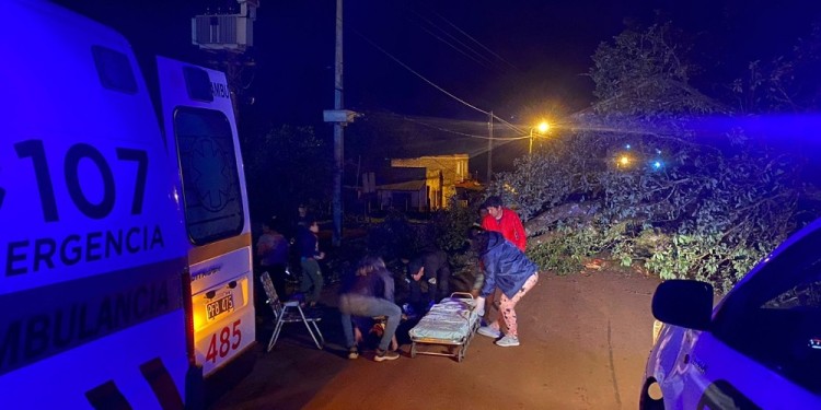 ACCIDENTE. Un joven chocó con su moto a un árbol tirado en la calle.