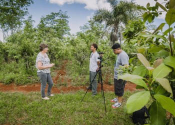 Corto sobre la yerba mate gana en el Festival de Cine en Paraná