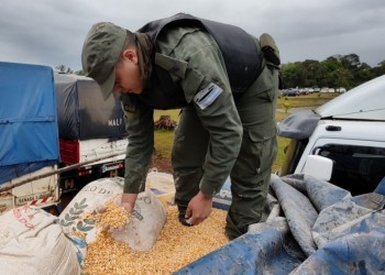 Otro golpe al contrabando de maíz en Misiones