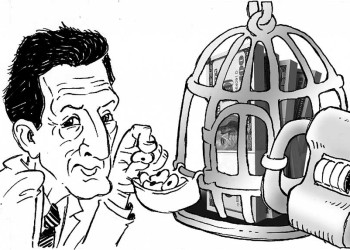 Massa no liberó los dólares para que las empresas misioneras sigan trabajando