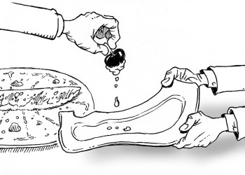 Misiones sigue siendo la relegada del NEA para el reparto de fondos nacionales