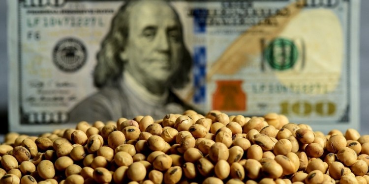 ENOJO. La medida sorprendió a los exportadores que ya advierten el fin del dólar soja.