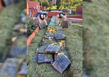 Interceptaron en Apóstoles un camión que transportaba marihuana camuflada entre alfalfa