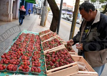 La temporada de frutilla, a pleno en las calles de Posadas