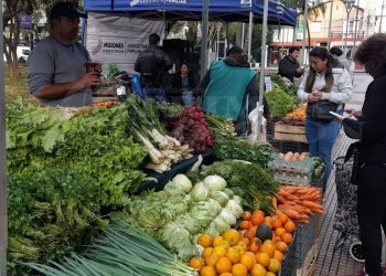 Las Ferias Francas de Posadas se afianzaron con el paso de los años y siguen creciendo