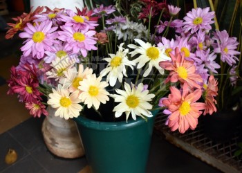 Día de la Primavera: hubo boom de ventas en las florerías posadeñas