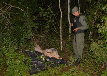 Gendarmería halló más de 83 kilos de marihuana en Colonia Delicia