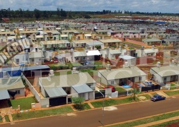 Rescatan a una yarará crucera en el barrio Itaembé Guazú