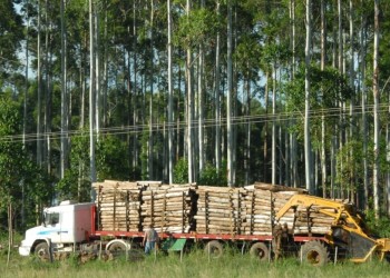 “En el país del revés, cuanto más trabajás más cara pagás la luz”