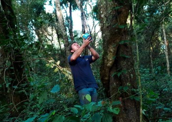 Se instituyó al 19 de septiembre como el Día Provincial del Orquideófilo