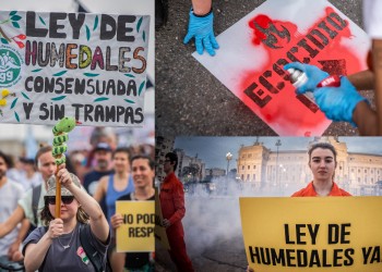 Grandes movilizaciones en todo el país por la Ley de Humedales