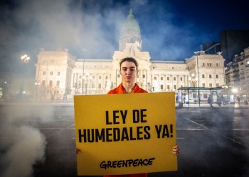 Grandes movilizaciones en todo el país por la Ley de Humedales