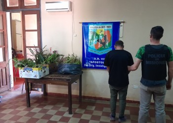 Cayó “Spiderman” por robar plantas en Apóstoles