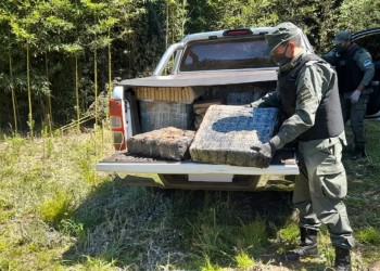 Tras una persecución, decomisan más de una tonelada de droga cerca de Jardín América