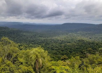 Realizan un relevamiento con geoposición de los humedales