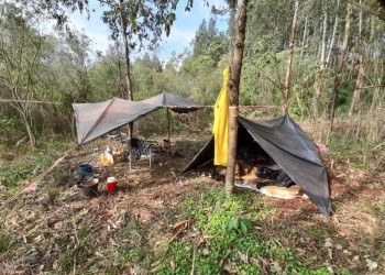 En San Pedro rescataron a cuatro tareferos víctimas de explotación laboral