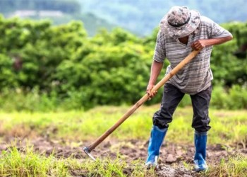 La Prestación por Desempleo para trabajadores rurales alcanzará un incremento interanual del 168%