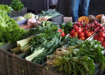 Feriantes de San Vicente: “Todas las crisis siempre las hemos pasado laburando”