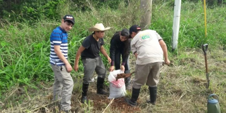 CONCIENTIZACIÓN. Los chicos de la Escuela Técnica que formaron parte de la actividad de arborización.