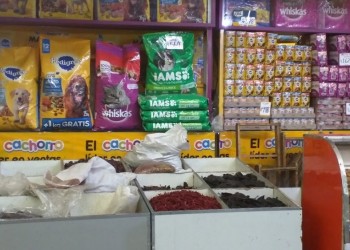 Segundas marcas para mascotas: “No digo que una más económica lo va a enfermar, pero altera su nutrición”