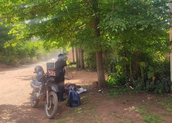Resultó herida al caer de un árbol cuando intentaba rescatar a su gato