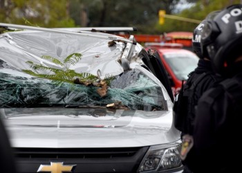 Le cayó un árbol sobre la camioneta cuando circulaba por el centro de Posadas