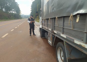 En lo que va del año, incautaron casi 1.500 toneladas de granos en San Vicente