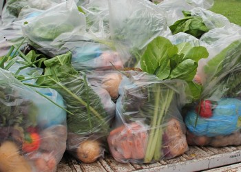 Productores volvieron a apostar a la venta de los bolsones de verduras