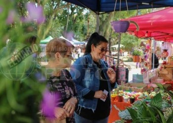 Fin de semana en Misiones con buen tiempo y temperaturas primaverales