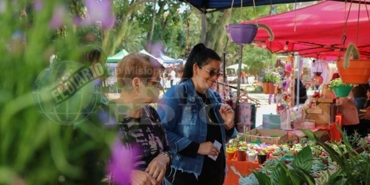 DESPEJADO. El buen clima reinante permitirá paseos durante todo el día... un adelanto de la primavera.