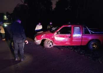 Esquivó a un animal y chocó con una jirafa